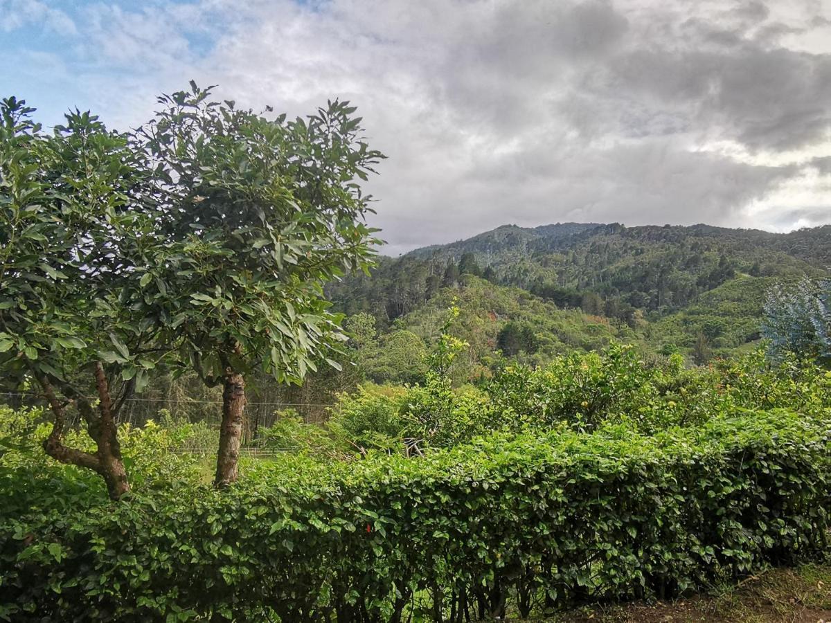 Cabana Hamacas Cartago Luaran gambar